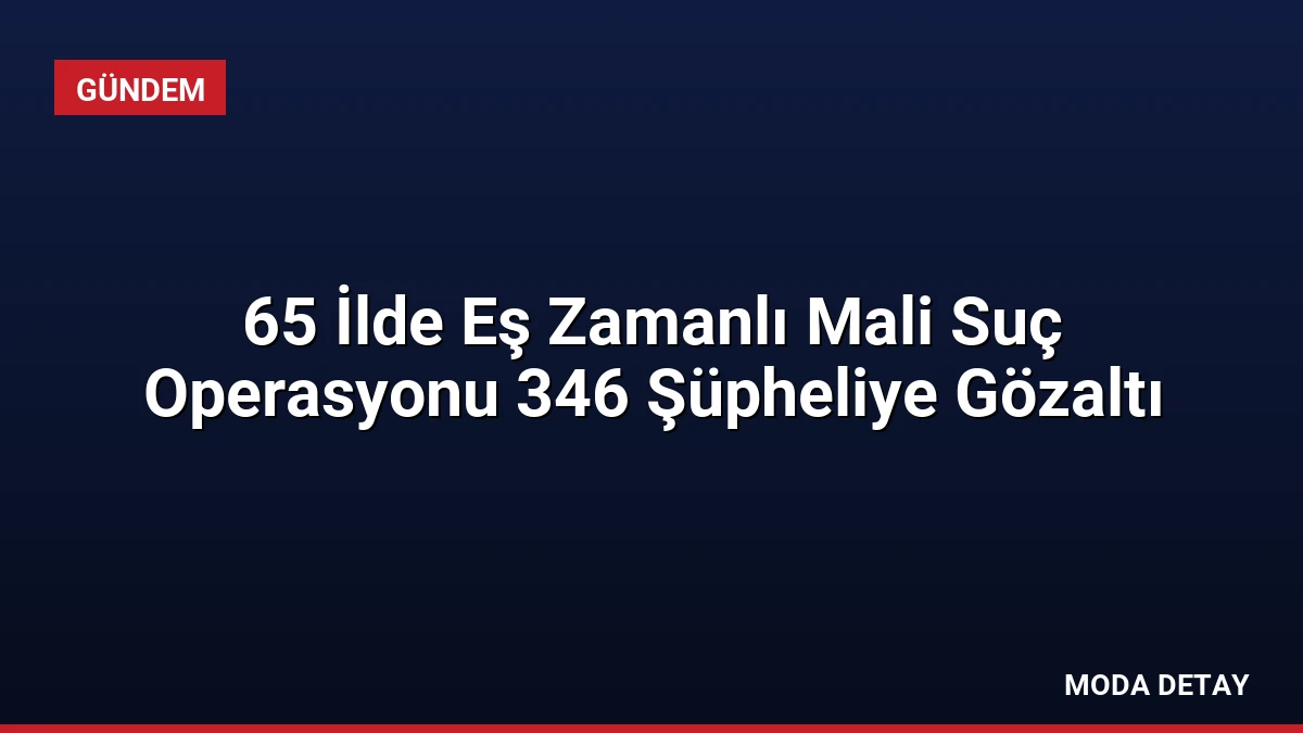 65 İlde Eş Zamanlı Mali Suç Operasyonu 346 Şüpheliye Gözaltı