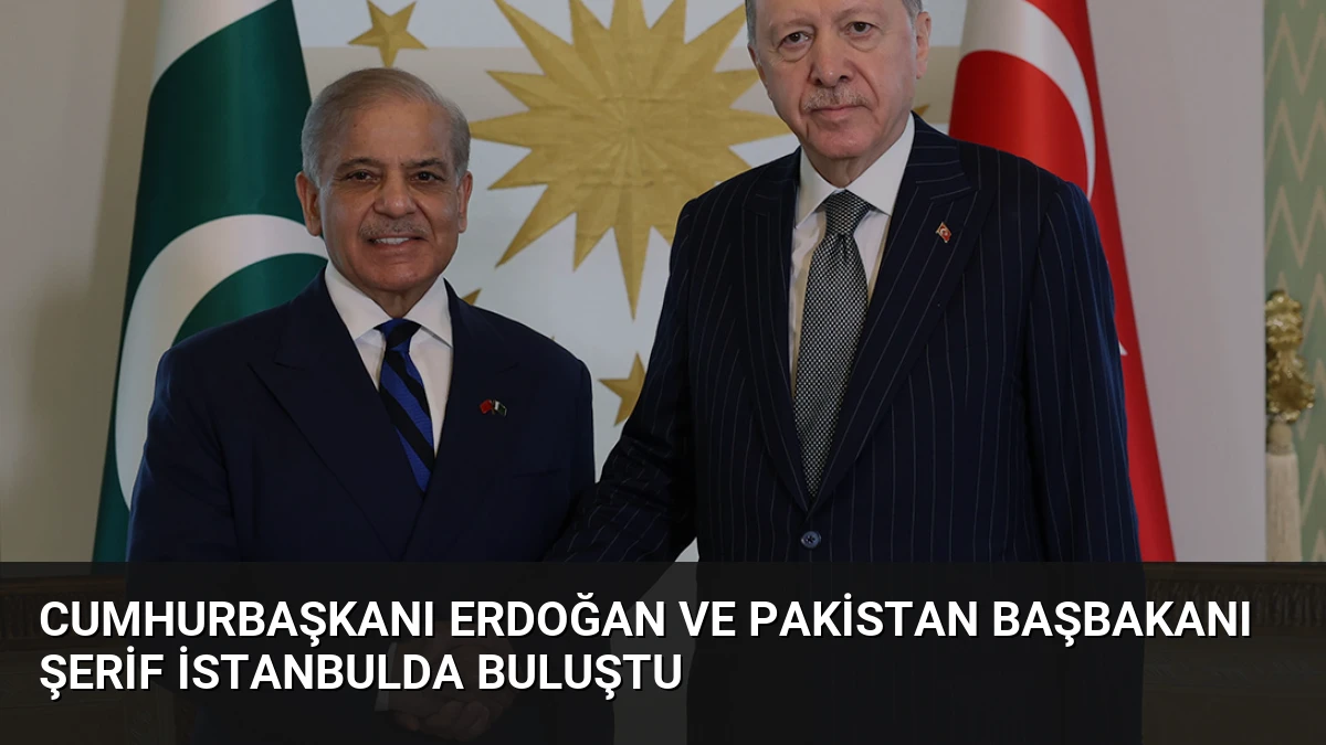 Cumhurbaşkanı Erdoğan ve Pakistan Başbakanı Şerif İstanbulda Buluştu
