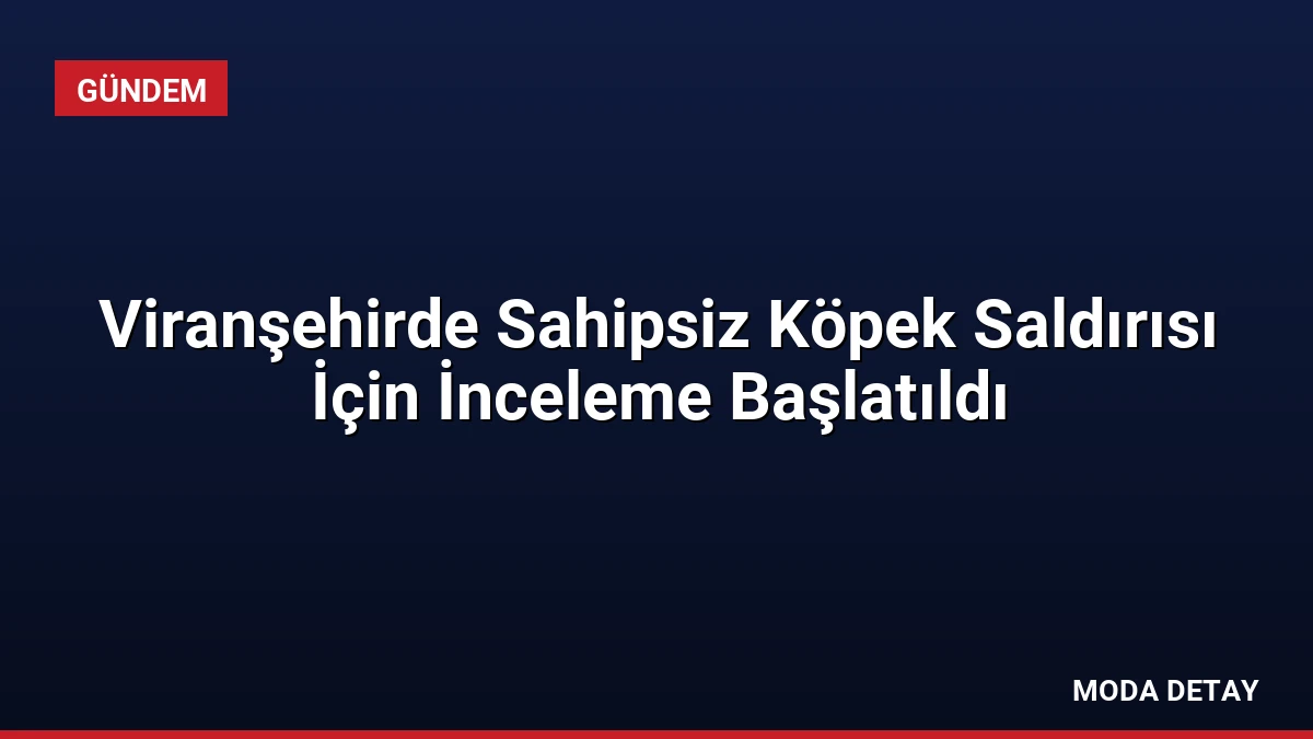 Viranşehirde Sahipsiz Köpek Saldırısı İçin İnceleme Başlatıldı