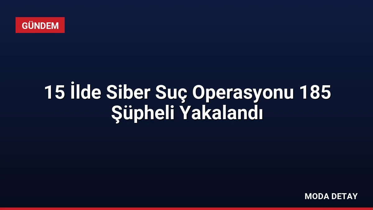 15 İlde Siber Suç Operasyonu 185 Şüpheli Yakalandı