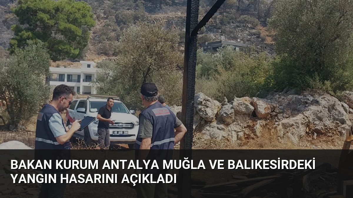 Bakan Kurum Antalya Muğla ve Balıkesirdeki Yangın Hasarını Açıkladı