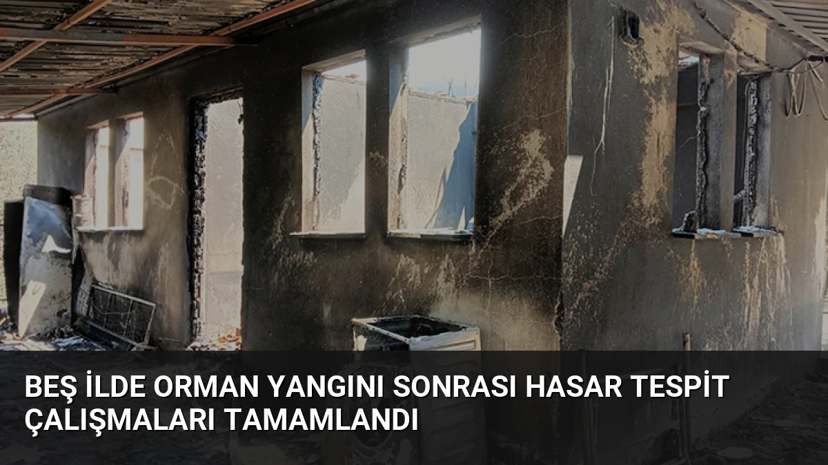 Beş ilde orman yangını sonrası hasar tespit çalışmaları tamamlandı