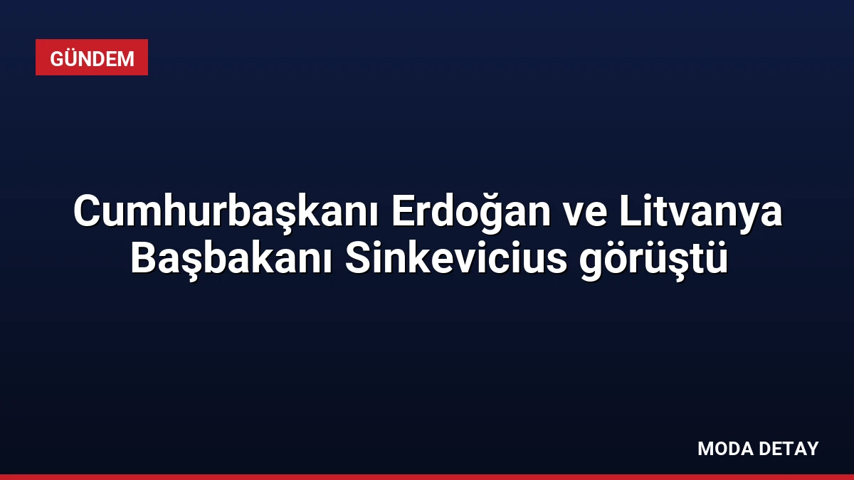 Cumhurbaşkanı Erdoğan ve Litvanya Başbakanı Sinkevicius görüştü