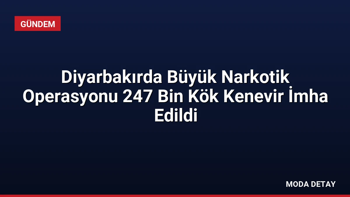 Diyarbakırda Büyük Narkotik Operasyonu 247 Bin Kök Kenevir İmha Edildi