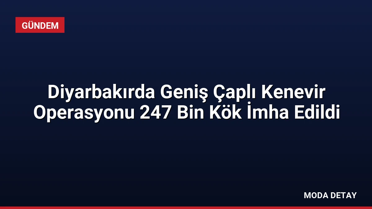 Diyarbakırda Geniş Çaplı Kenevir Operasyonu 247 Bin Kök İmha Edildi