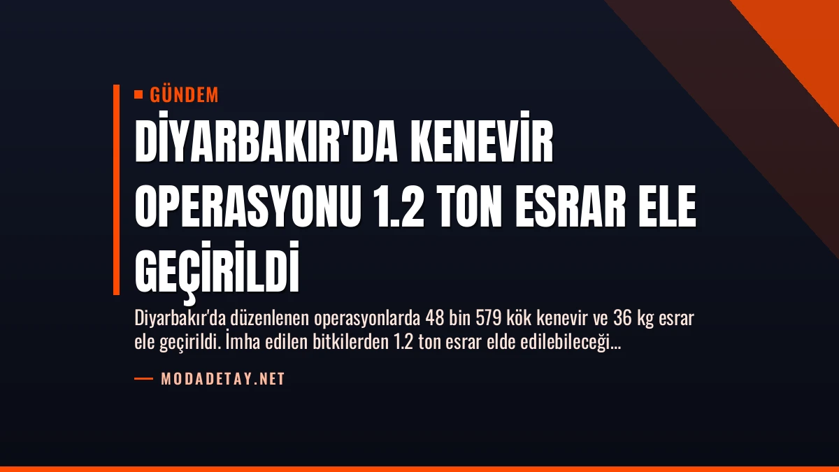 Diyarbakır’da Kenevir Operasyonu 1.2 Ton Esrar Ele Geçirildi