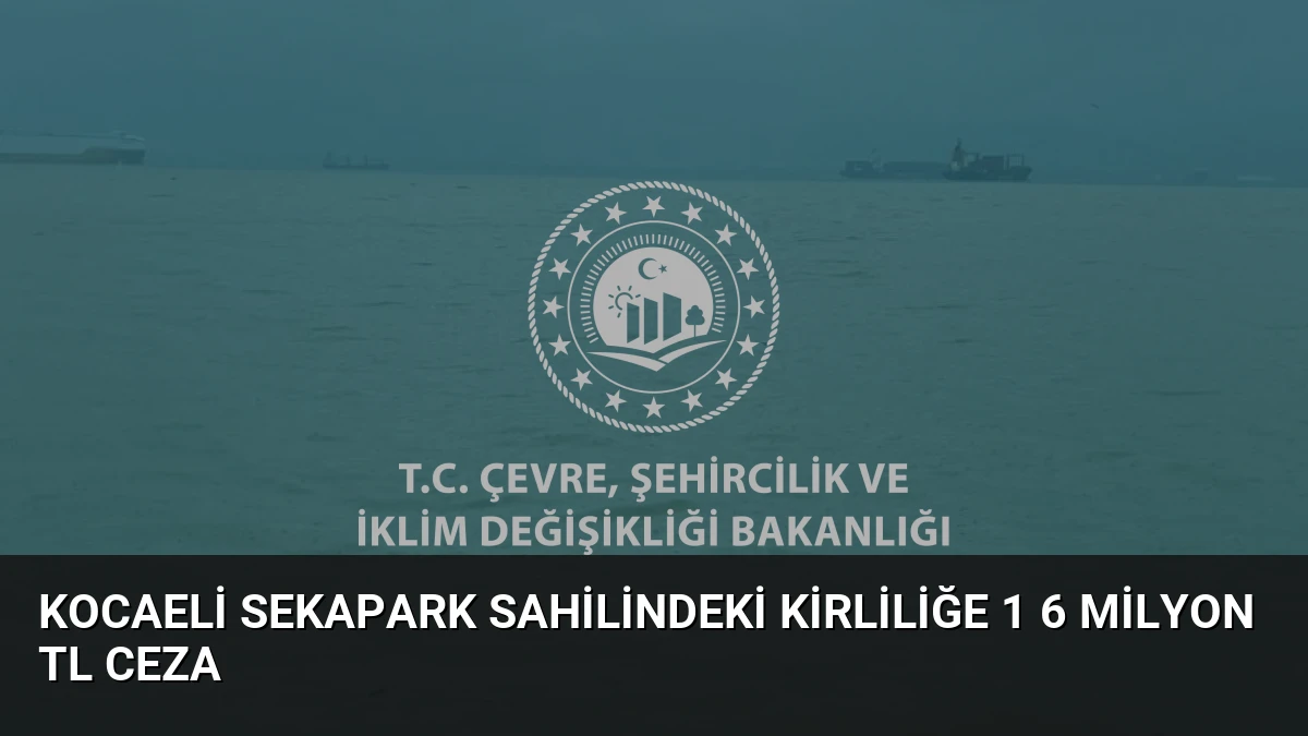 Kocaeli Sekapark sahilindeki kirliliğe 1 6 milyon TL ceza